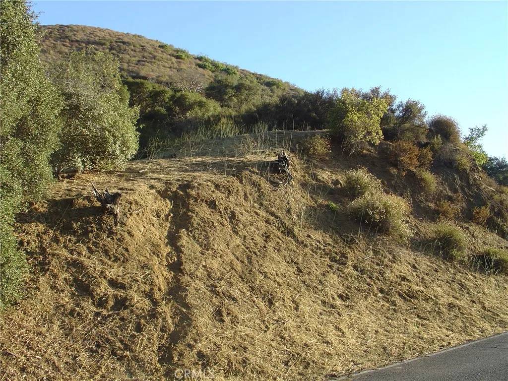 Agoura Hills, CA 91311,0 Laura La Plante