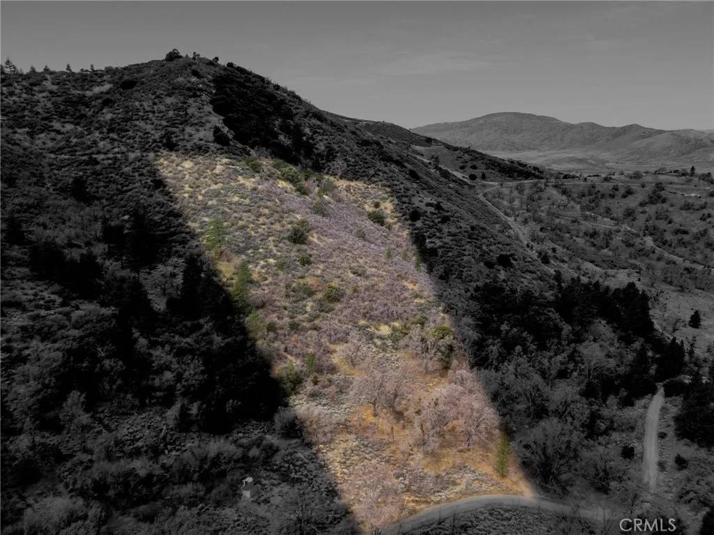 Alpine Forest, CA 93561,0 APN#325-102-02