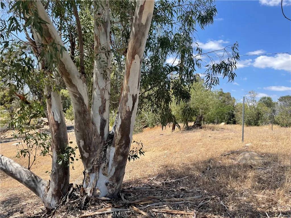 Lake Elsinore, CA 92530,15 Bailey