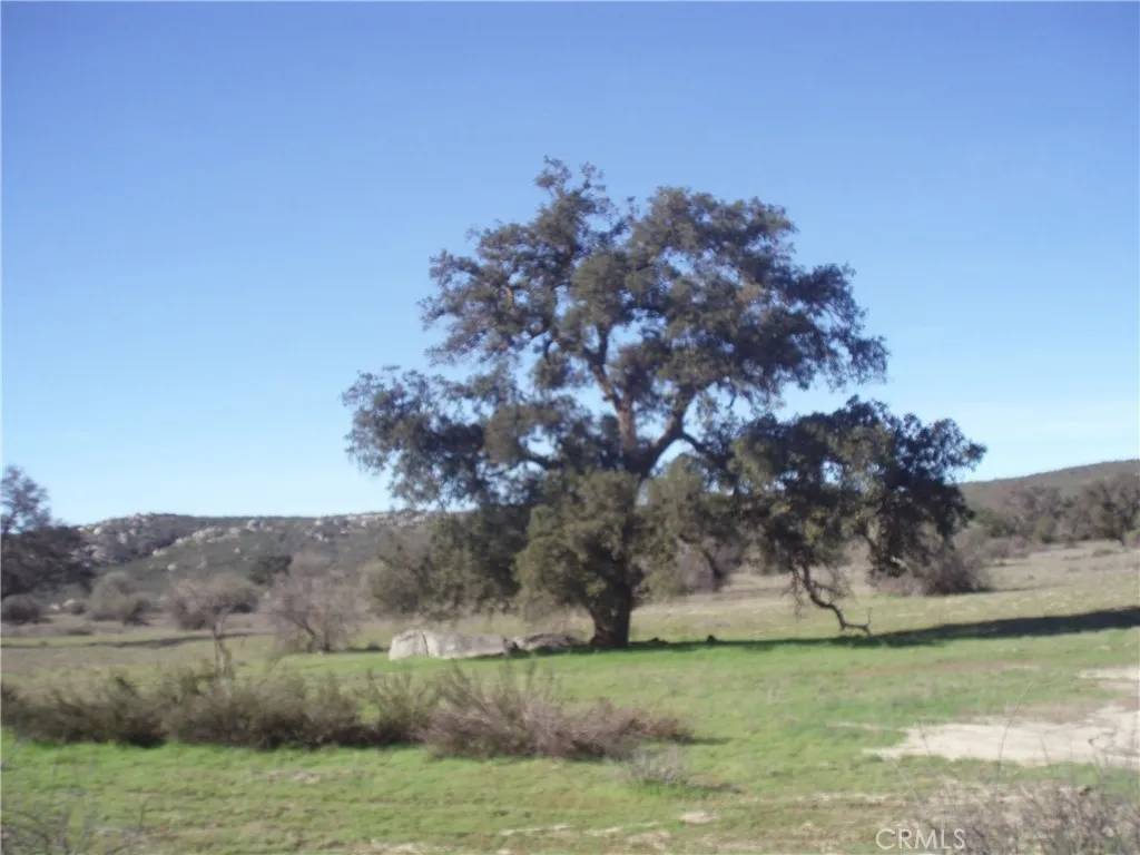 Hemet, CA 92544,53 Willow Canyon