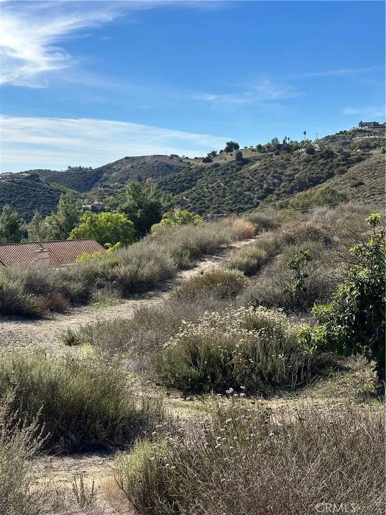 Murrieta, CA 92562,28 Golden Arrow