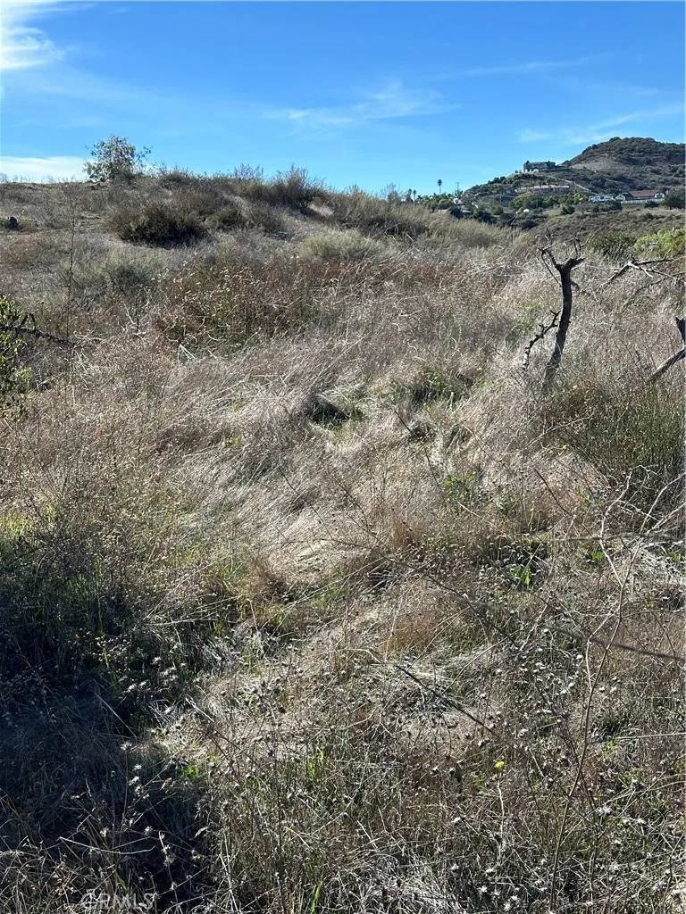 Murrieta, CA 92562,29 Golden Arrow