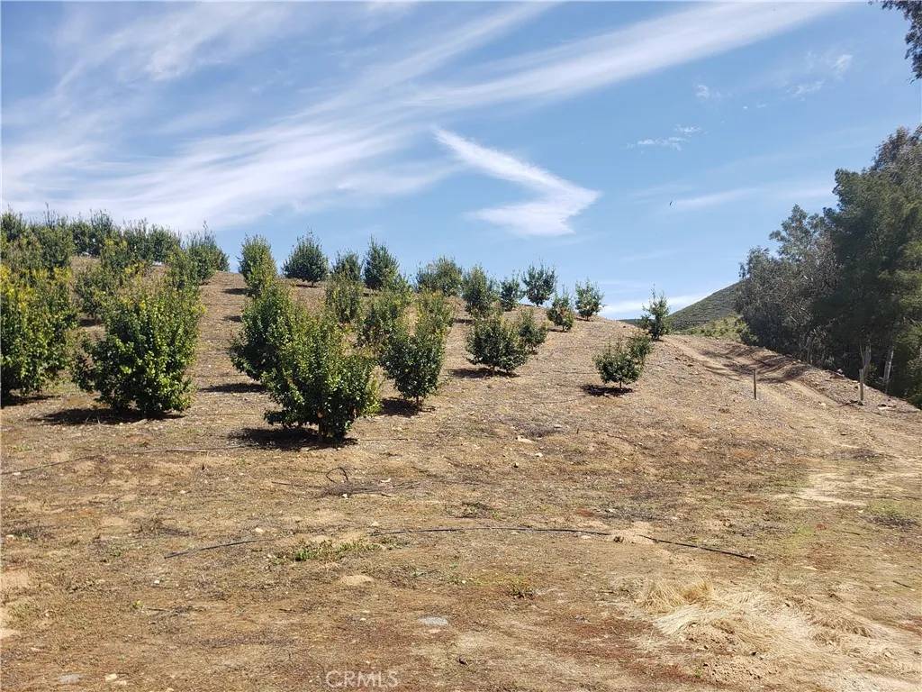 Temecula, CA 92590,7 Calle Jardin