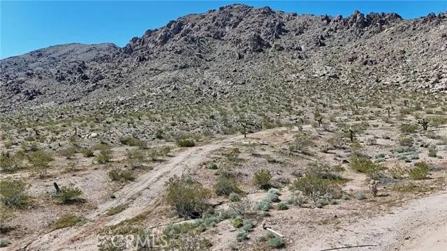 Lucerne Valley, CA 92356,120 Corralejo
