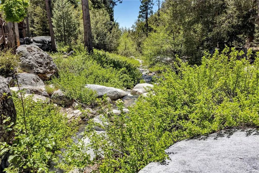 Idyllwild, CA 92549,0 Azalea