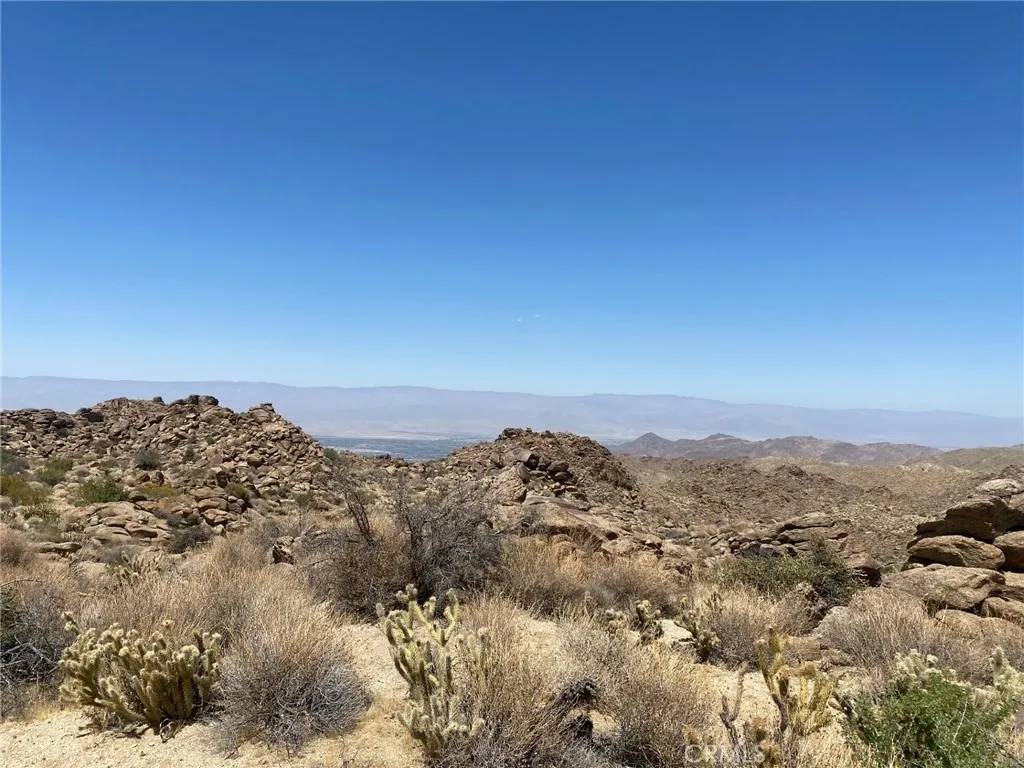 Mountain Center, CA 92260,15 Desert Calico