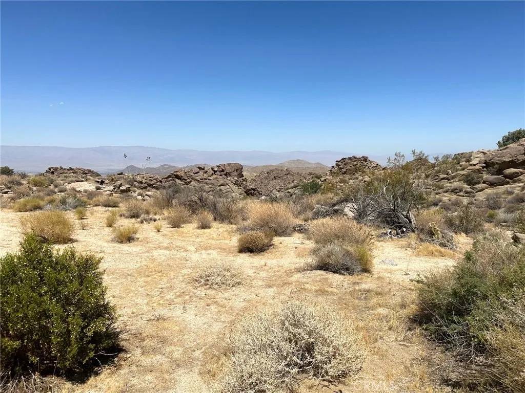 Mountain Center, CA 92260,15 Desert Calico