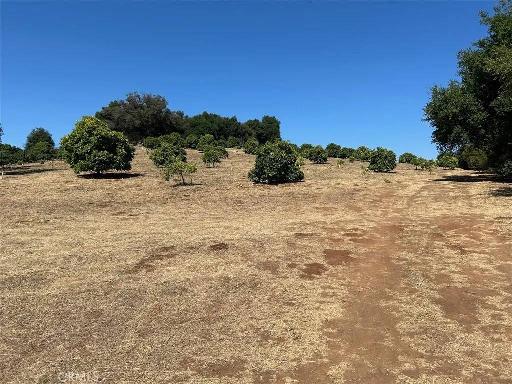 Temecula, CA 92590,15 Camino Estribo