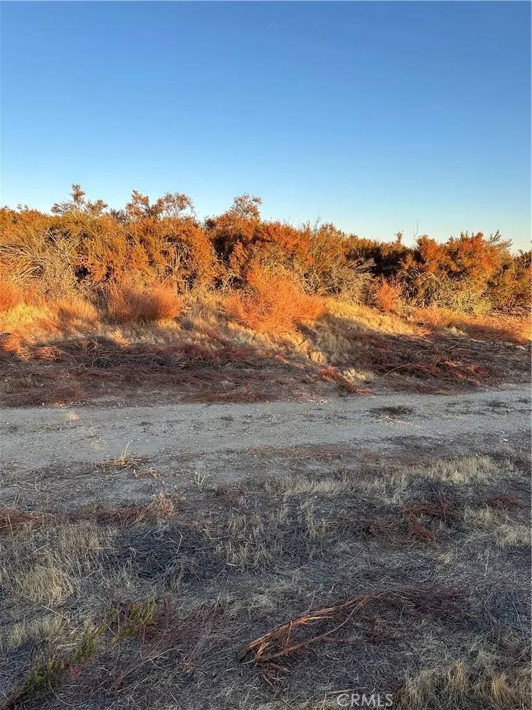 Hemet, CA 92544,84 Sable