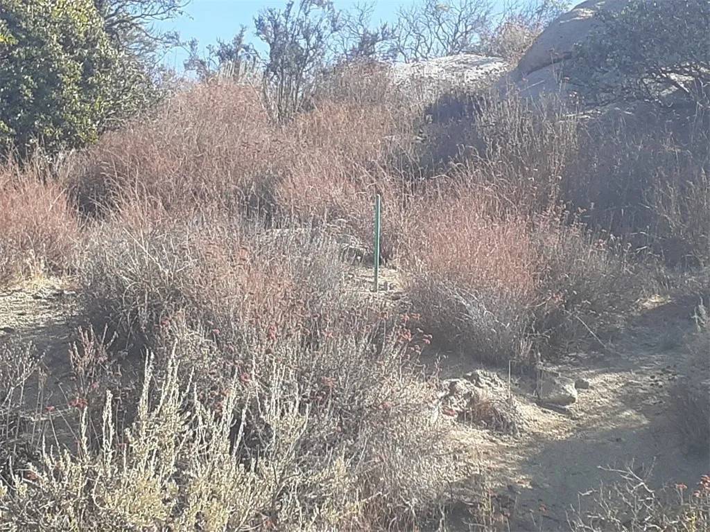 Aguanga, CA 92536,0 Lake Canyon