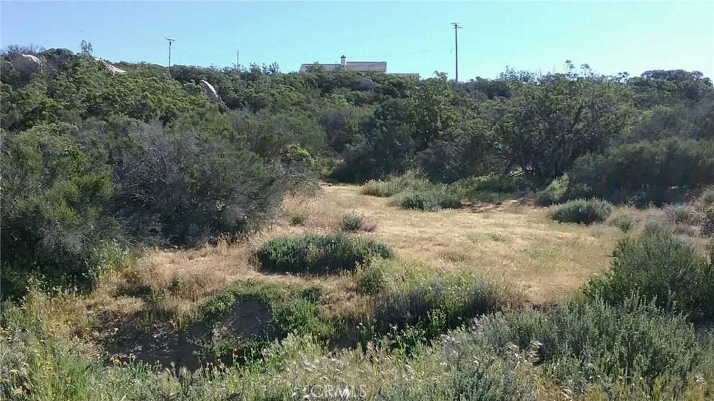 Aguanga, CA 92536,0 Lake Canyon