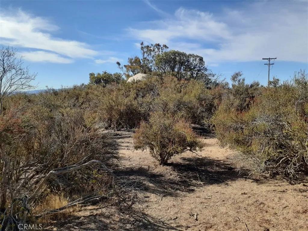 Aguanga, CA 92536,0 Lake Canyon