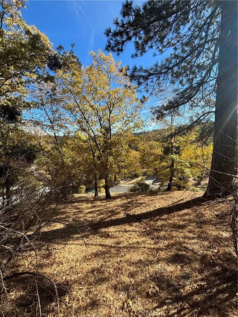 Crestline, CA 92325,0 Briarwood