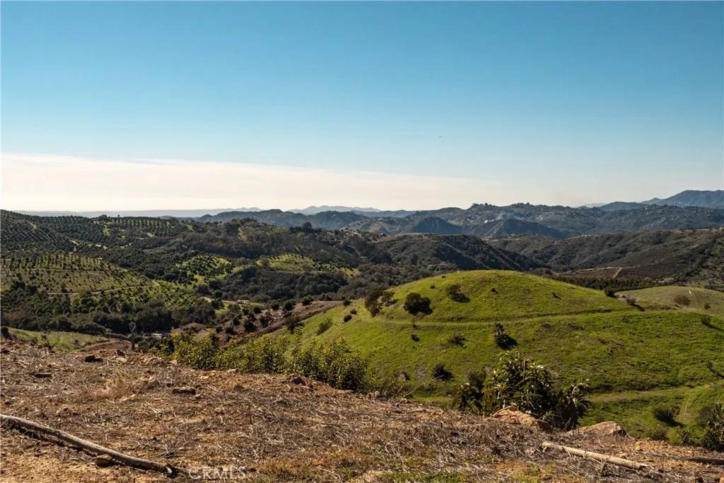 Temecula, CA 92590,4 Calle Uva