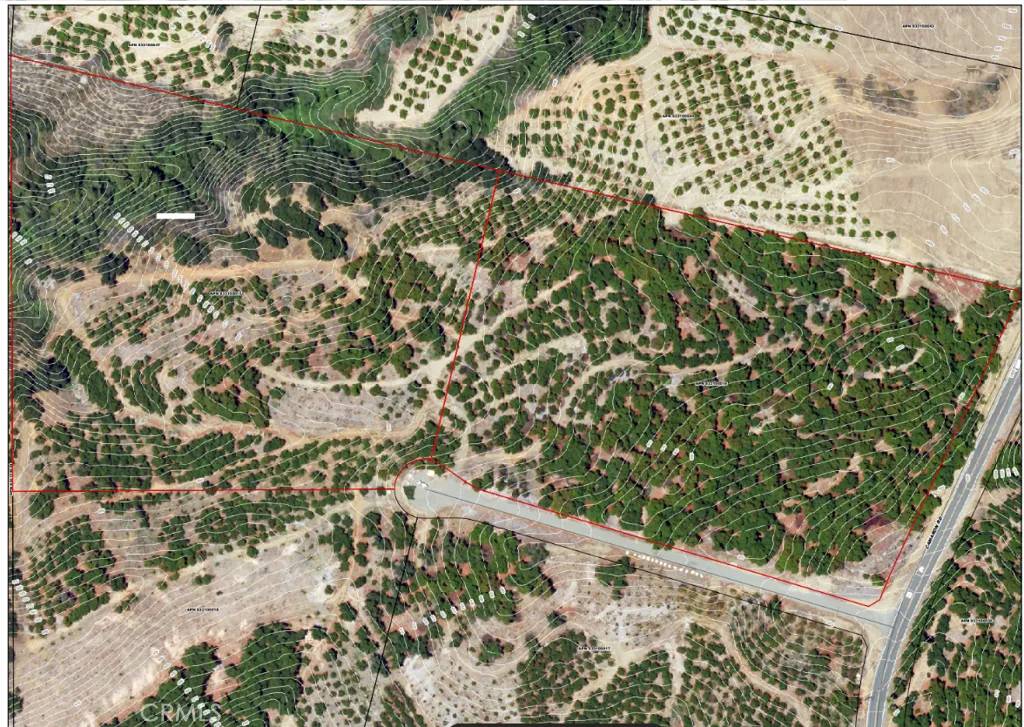 Temecula, CA 92590,0 Camaron