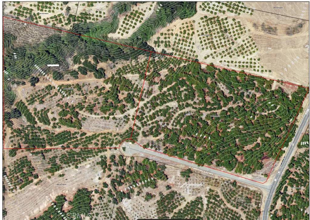 Temecula, CA 92590,0 Camaron