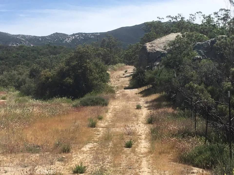 Hemet, CA 92544,7 Willow Creek