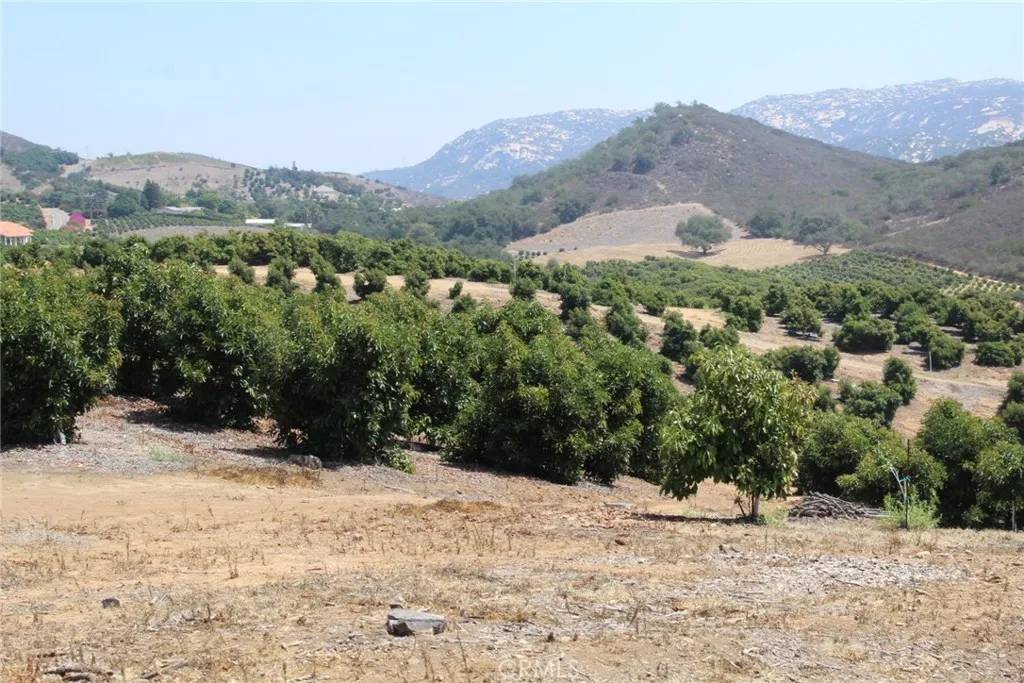 Temecula, CA 92590,4 Via Vaquero