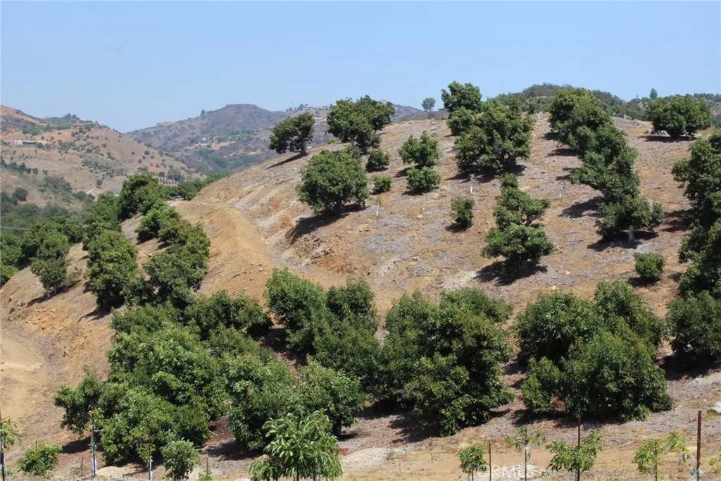 Temecula, CA 92590,4 Via Vaquero