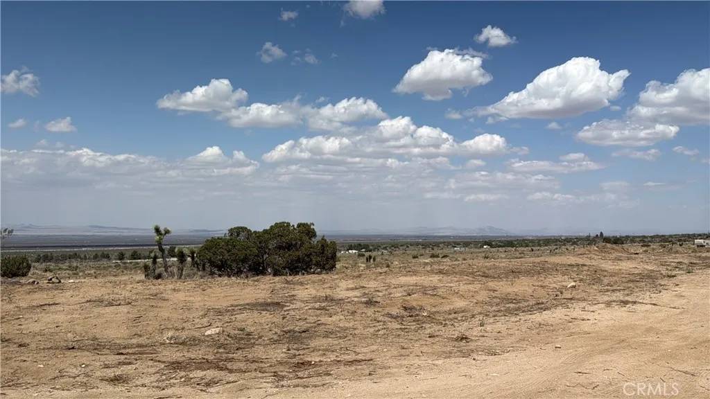 Llano, CA 93544,0 Ave Y8 & 233rd St E