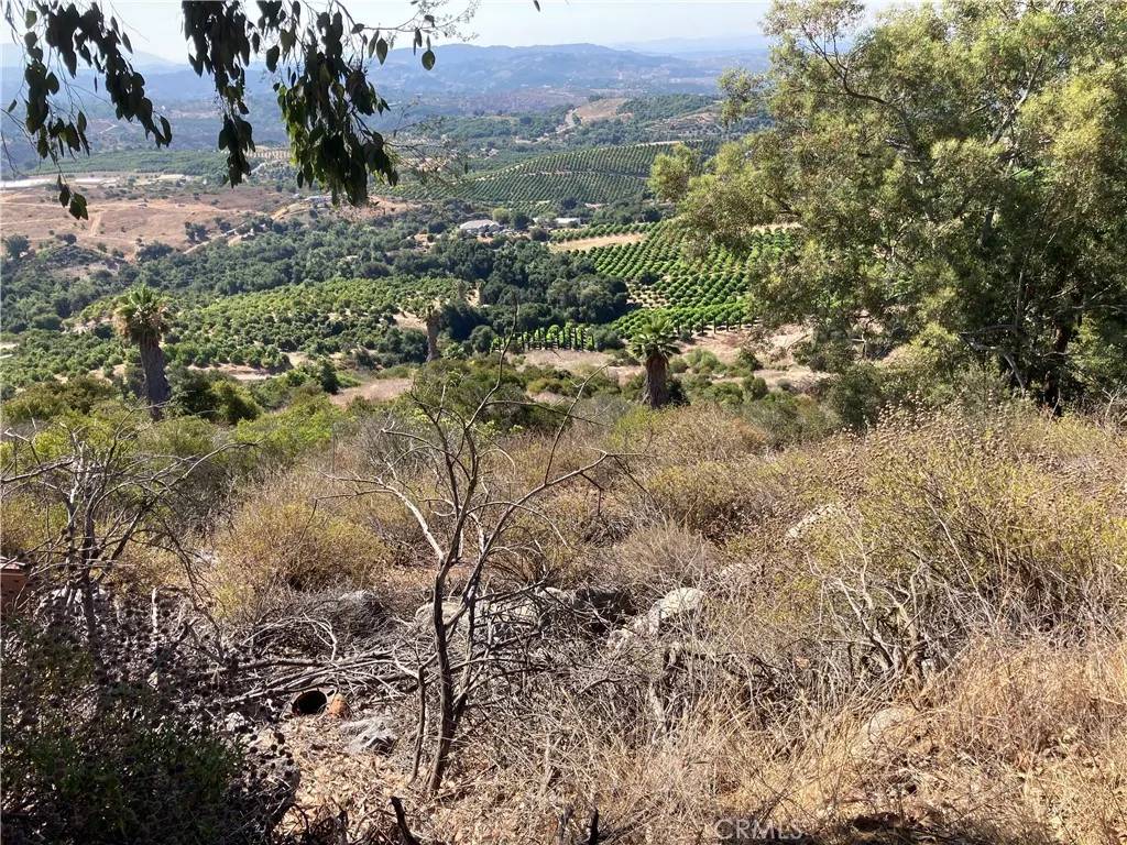 Temecula, CA 92590,37 El Calamar