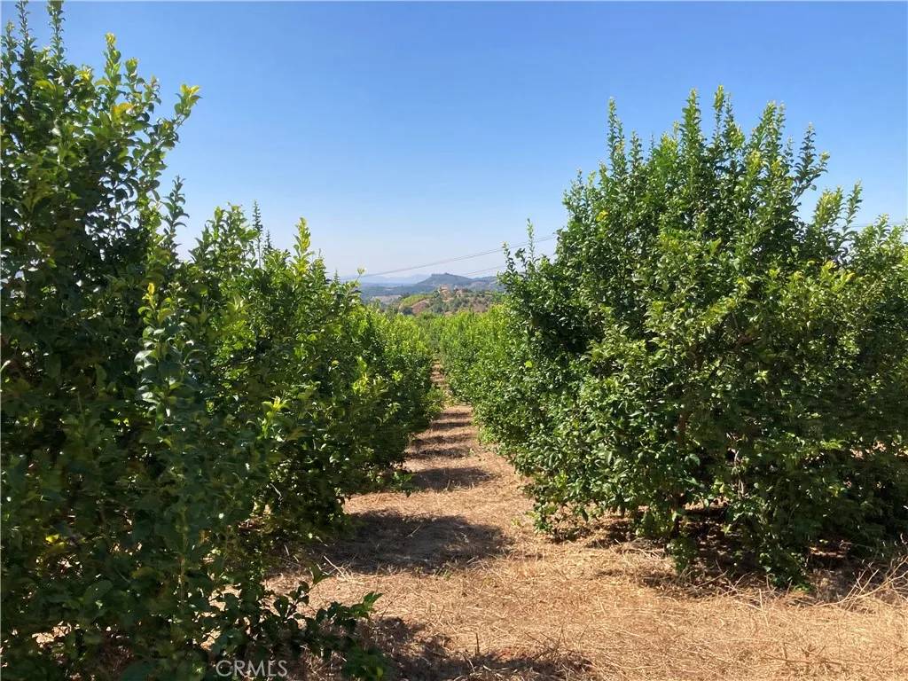 Temecula, CA 92590,39 Carancho