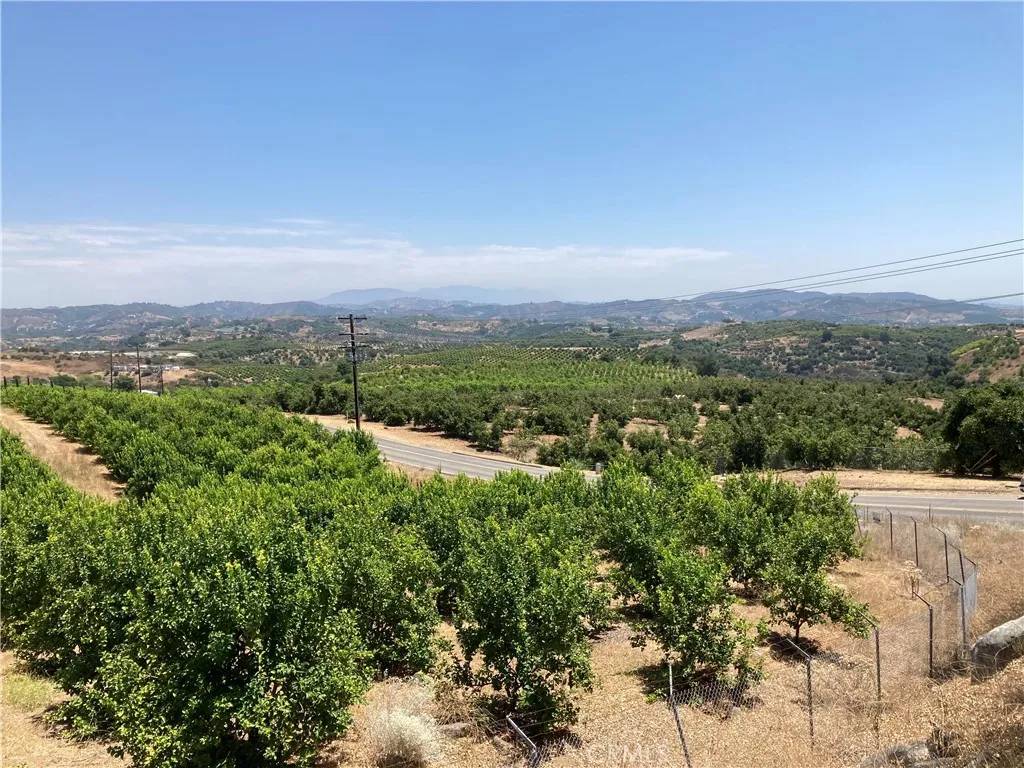 Temecula, CA 92590,39 Carancho