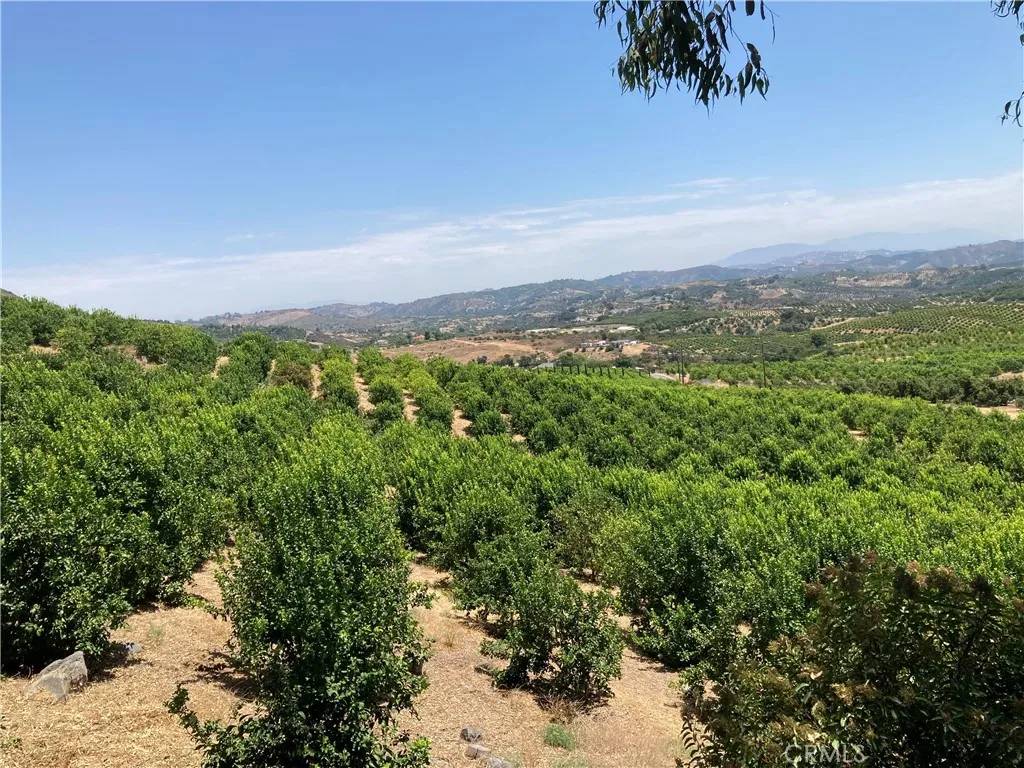 Temecula, CA 92590,39 Carancho
