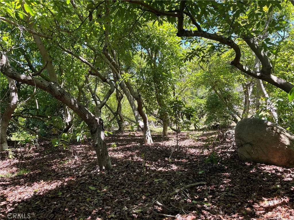 Temecula, CA 92590,3 Los Gatos