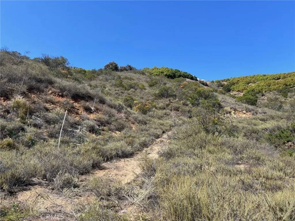 Temecula, CA 92590,16 Pampas