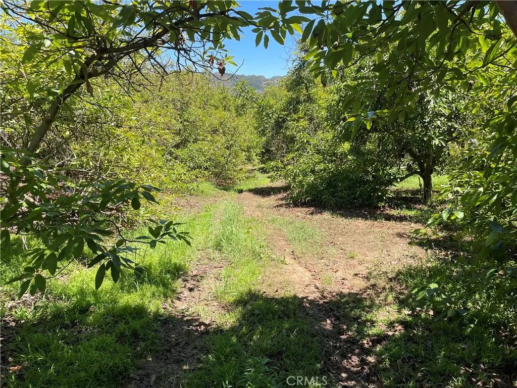 Temecula, CA 92590,4 Los Gatos
