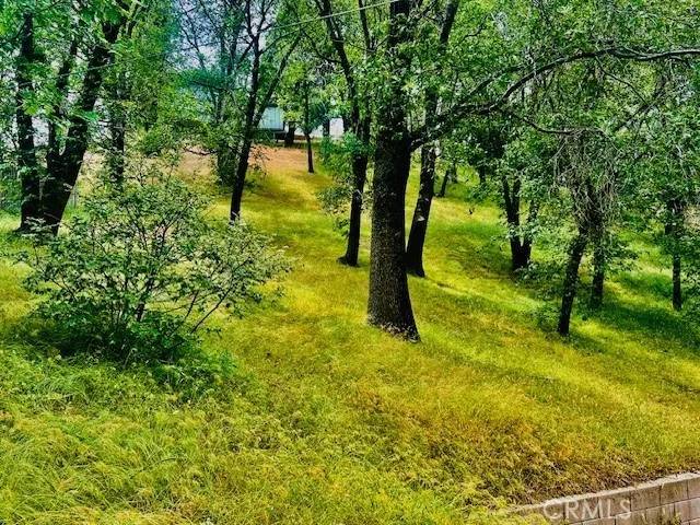 Crestline, CA 92325,470 Dunant Drive