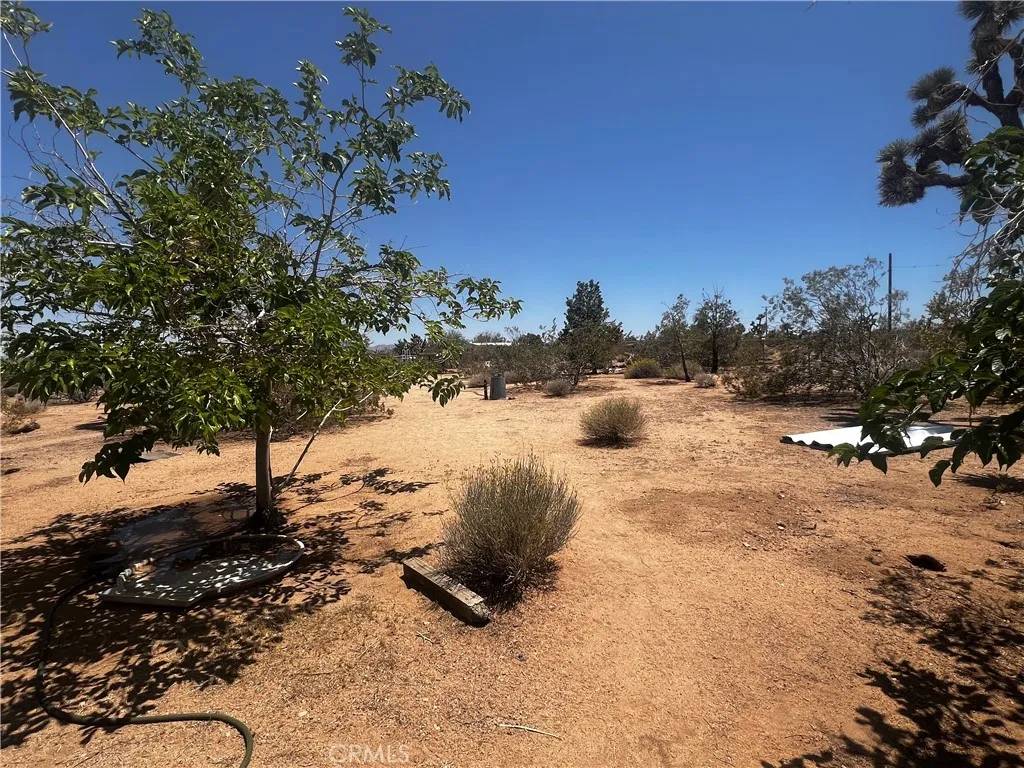 Yucca Valley, CA 92284,1489 Balsa Avenue