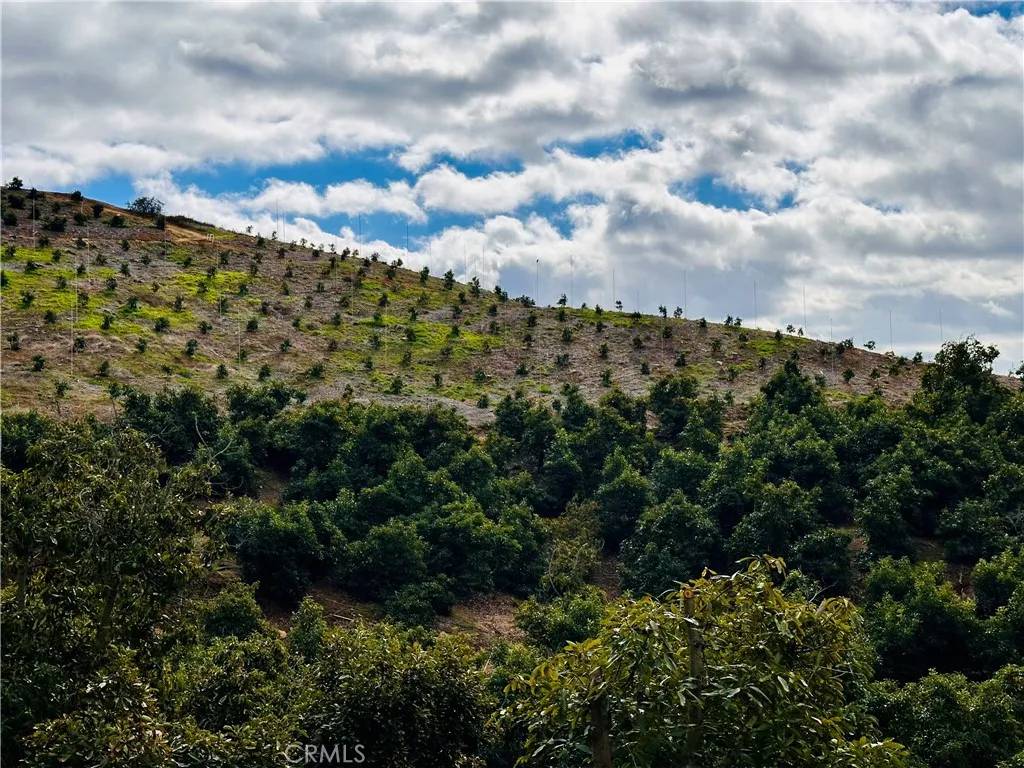 Fallbrook, CA 92028,39725 Jones