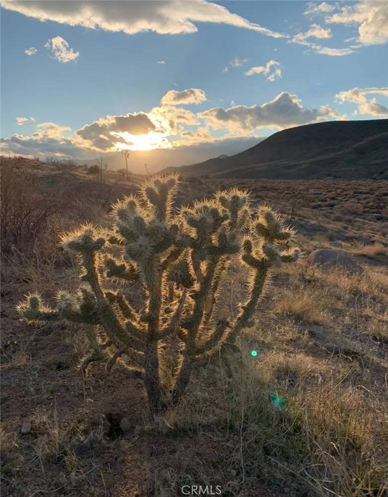 Pioneertown, CA 92268,0 E