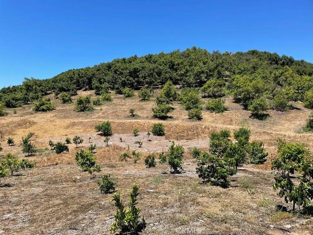 Temecula, CA 92590,2 Via Vaquero