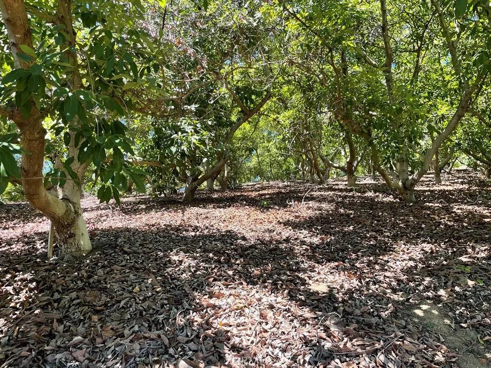 Temecula, CA 92590,2 Via Vaquero