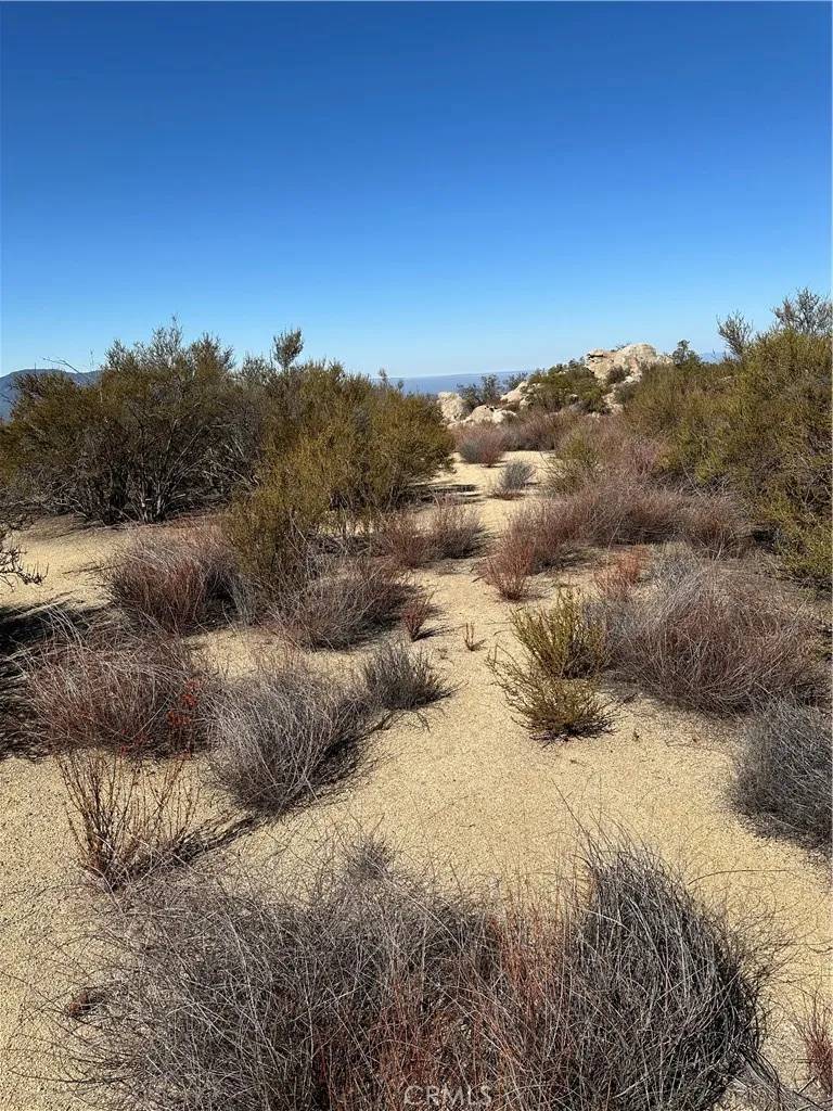 Aguanga, CA 92536,0 Ruben