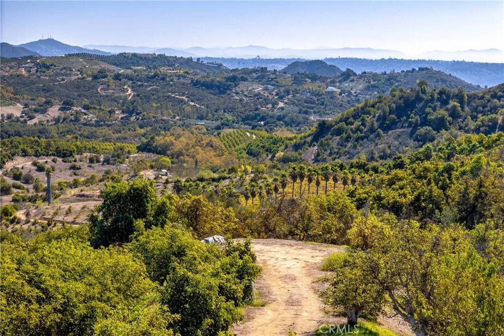 Temecula, CA 92590,0 Camaron