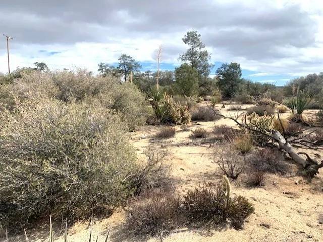 Mountain Center, CA 92561,368 Palm Canyon