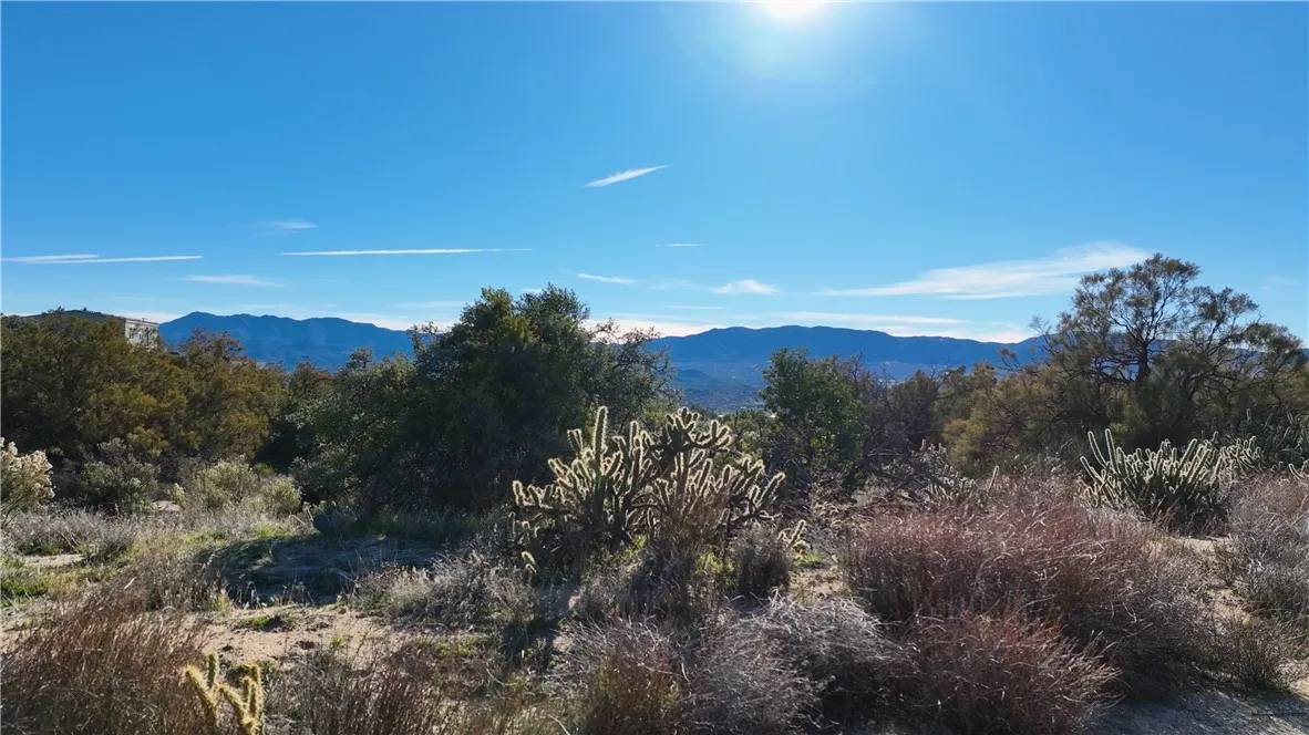 Anza, CA 92539,42475 La Brinia