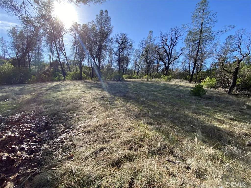 Corning, CA 96021,15785 Placer
