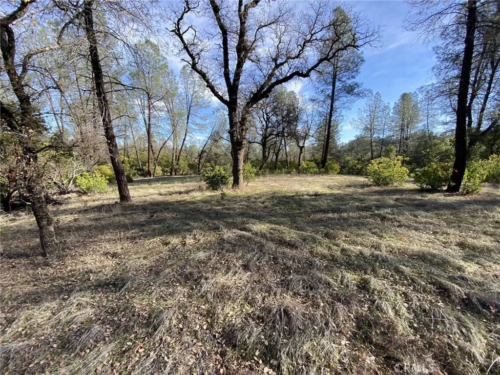 Corning, CA 96021,15785 Placer