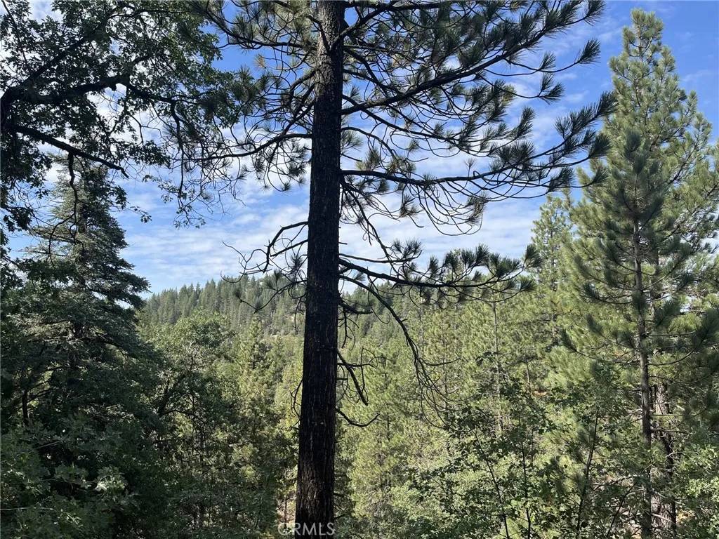 Arrowbear, CA 92314,0 Tulip Lane