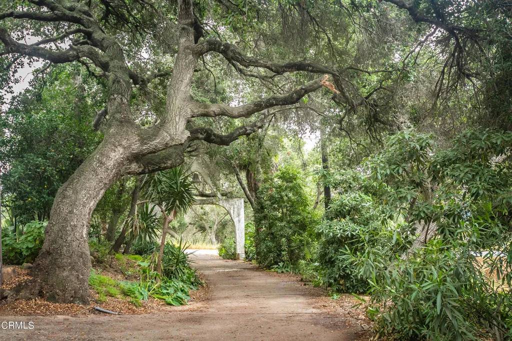 Ojai, CA 93023,1400 Park Drive