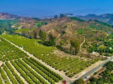 Santa Paula, CA 93060,0 Foothill