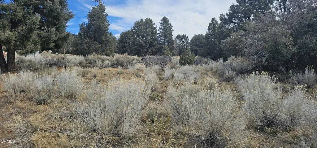 Frazier Park, CA 93225,0 Boy Scout Camp