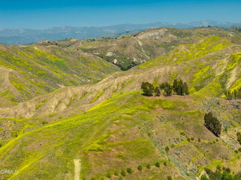 Ventura, CA 93003,1251 Via Cielito