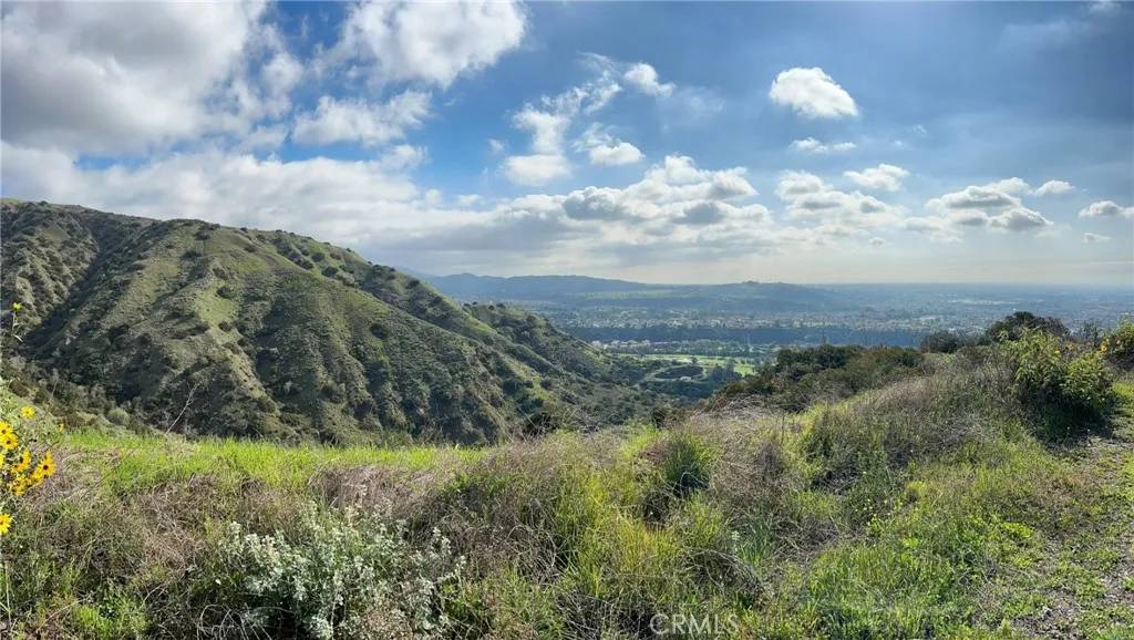 San Dimas, CA 91773,0 8678-030-029