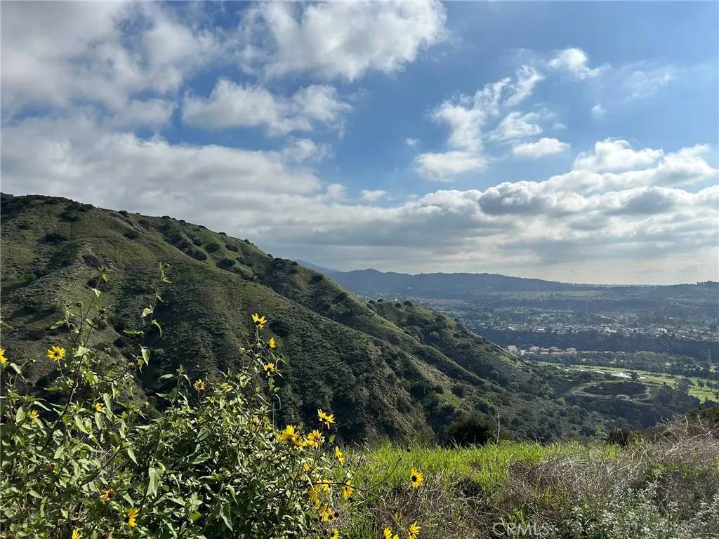 San Dimas, CA 91773,0 8678-030-029